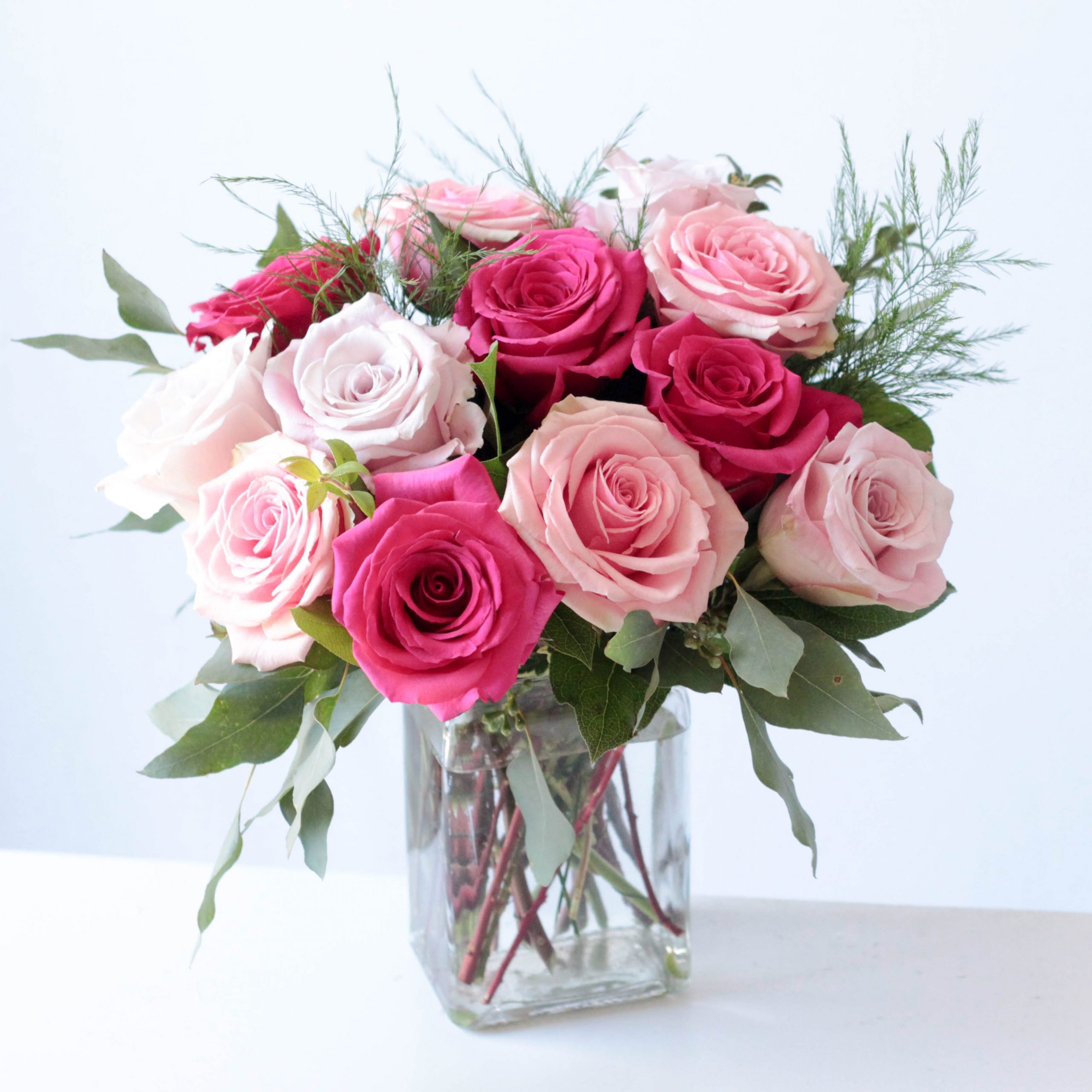 Contempo Rose