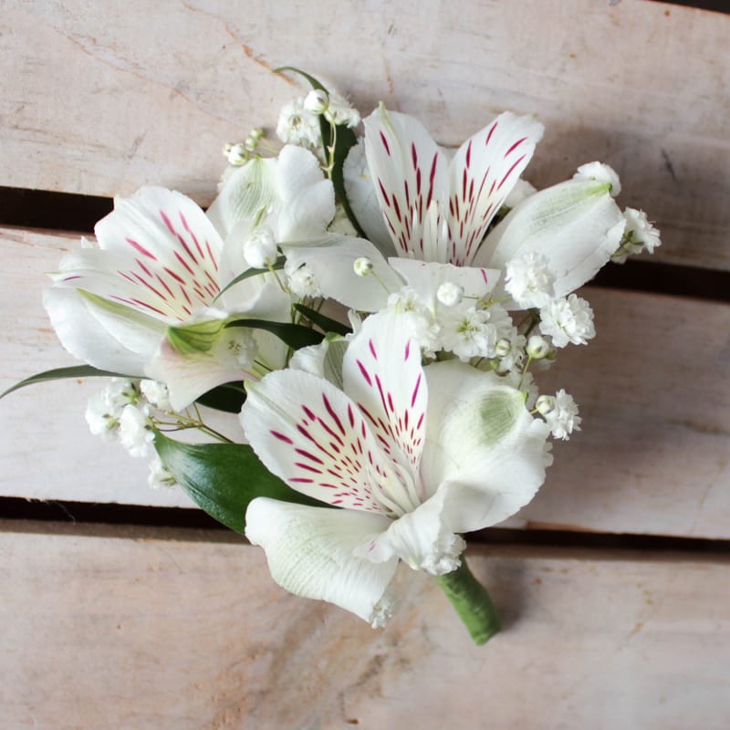 Boutonniere: Triple Alstroemeria OUT
