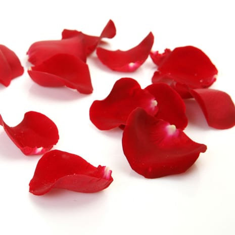 Rose Petals by the Bag-SPECIFIC