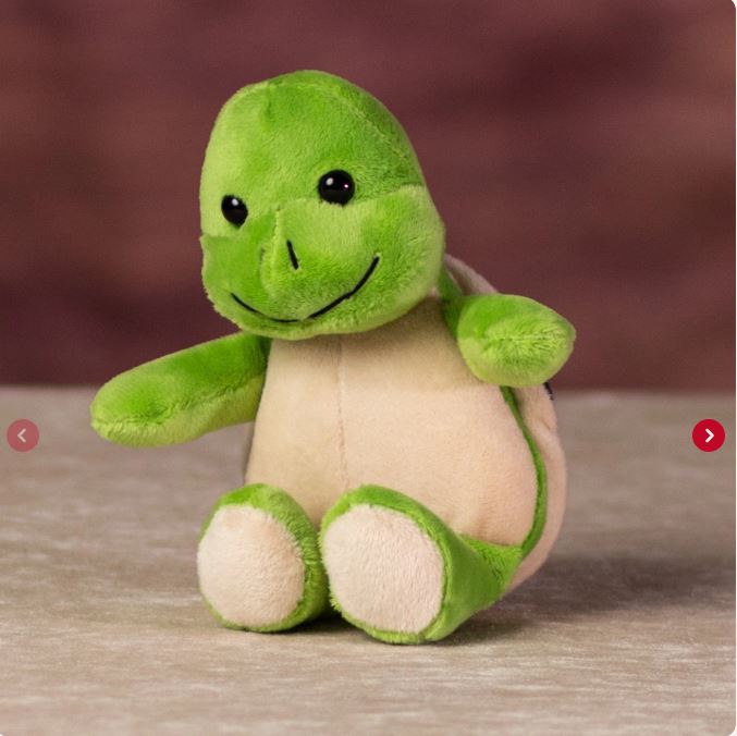 Turtle Teddy Bear - 7"